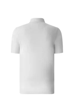 Chervò Anibal 100